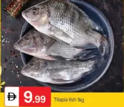 سمك بلطي (تيلابيا)