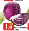 Red Cabbage