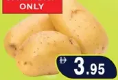 بطاطس