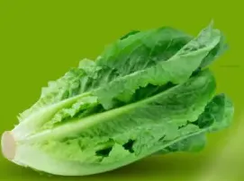 خس جوردان