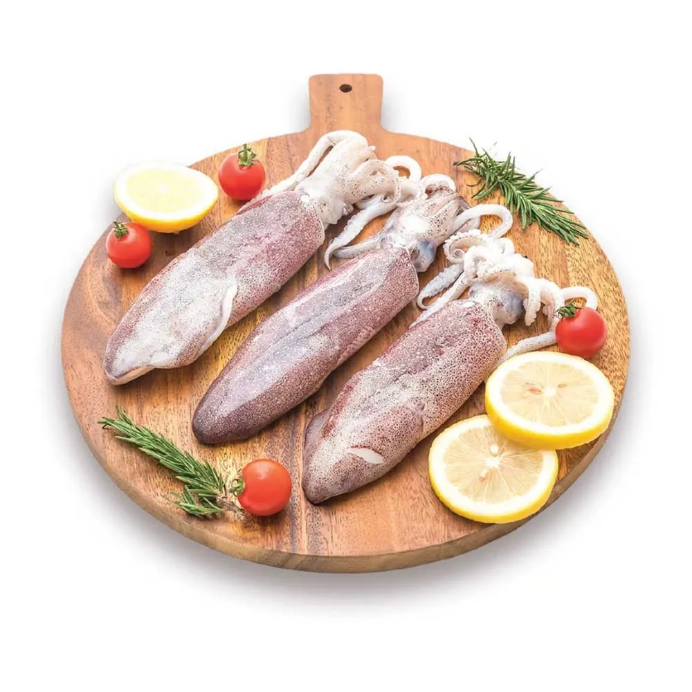 حبار