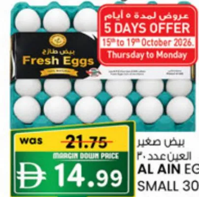 Al Ain Egg Small
