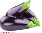 Eggplant Big Premium