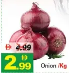 Onion