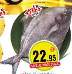 Pomfret Black