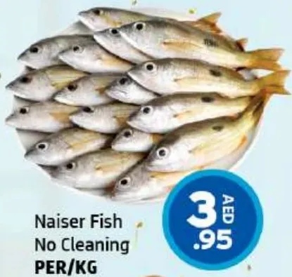 Naiser Fish No Cleaning