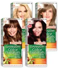 Garnier Hair Color Assorted