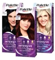 Palette Hair Color Assorted