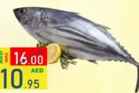Tuna