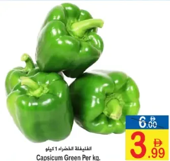 فلفل رومي أخضر