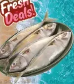 Mackerel Fish