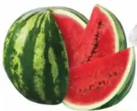 Water Melon Jordhan