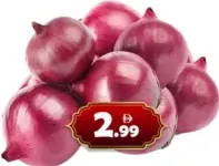 Onion