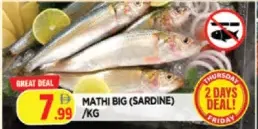 Mathi Big (Sardine)