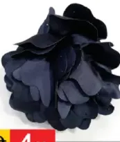 Ladies hair band
