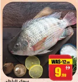 Tilapia
