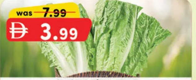 Lettuce Green