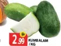 Kumbalam
