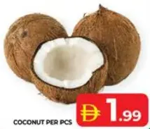 جوز الهند