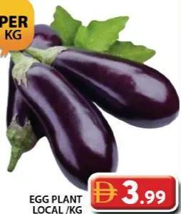 Egg Plant Local