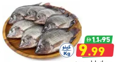 سمك بلطي مصري