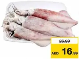 حبار طازج كبير