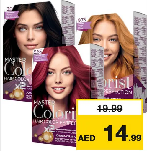 Master Colorist مجموعة صبغ الشعر ماستر كولوريست