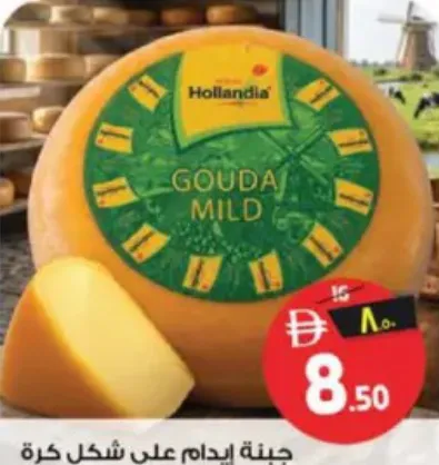 Hollandia جبنة جودا