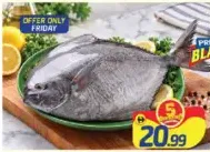 Black Pomfret