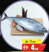 Tuna Fish