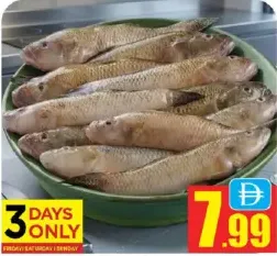 Macrona Fish