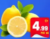 ليمون صغير