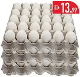 Lana بيض طازج صبا صغير