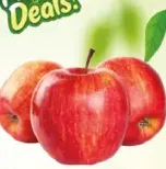 Apple Royal Gala