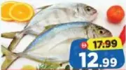 Vattappara Fish