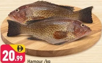 Hamour