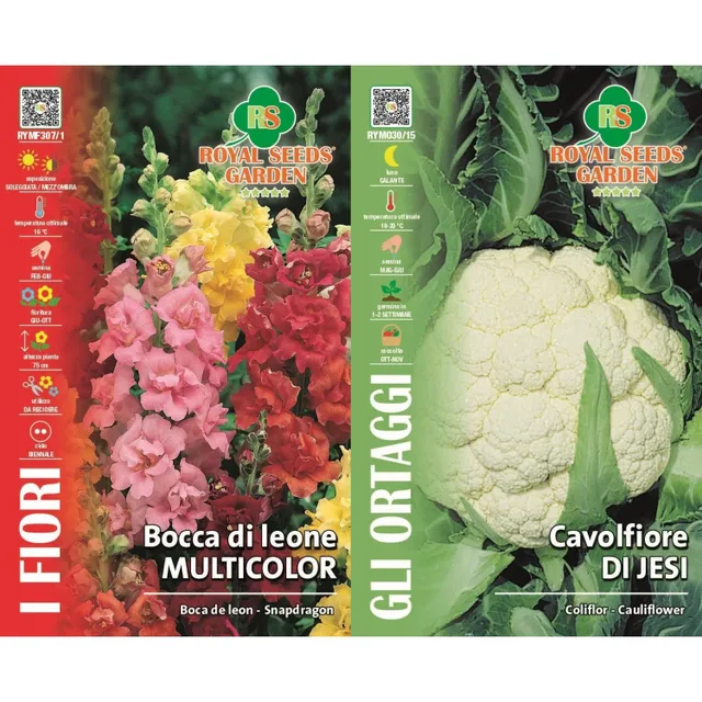 Franch 2pcs Seeds, Assorted