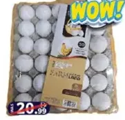 Farmland White Egg Medium