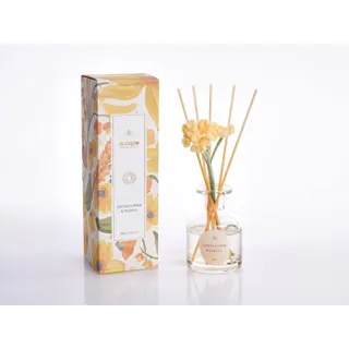 Maple Leaf Home موزع عطري برائحة زهرة الصبار والتيكيلا Sizu، زجاج