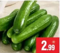 Cucumber Iran
