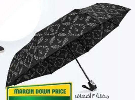 3 Fold Umbrella Print