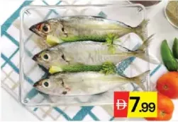 Seema Fish