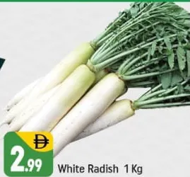 فجل أبيض اماراتي