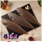 Sole Fish