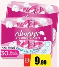always وردي