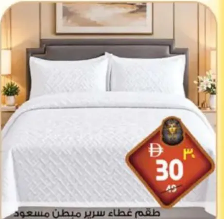 Bed Cover Quilt Set Assorted