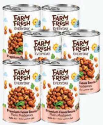 Farm Fresh فول مدمس فارم فريش / فاصوليا مطبوخة في صلصة طماطم