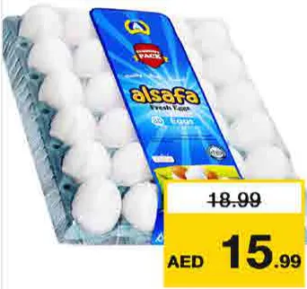 alsafa بيض أبيض وسط اقتصادي