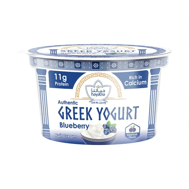 Hayatna Greek Yoghurt Blueberry