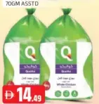 Arg دجاج